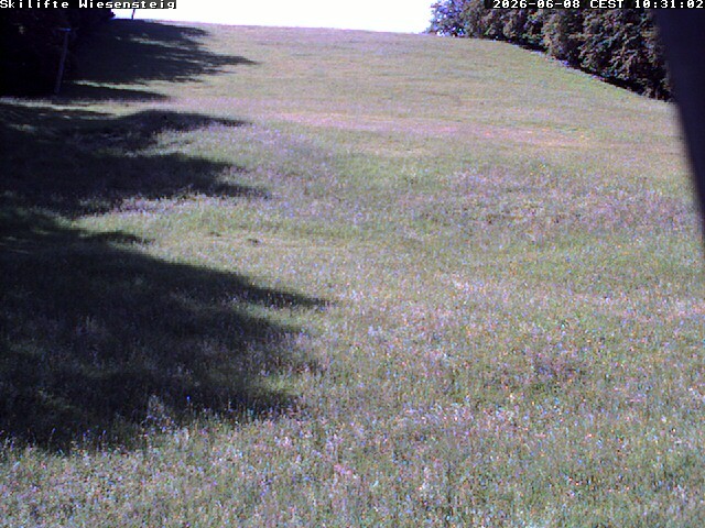Archiv Foto Webcam Wiesensteig Bläsiberg