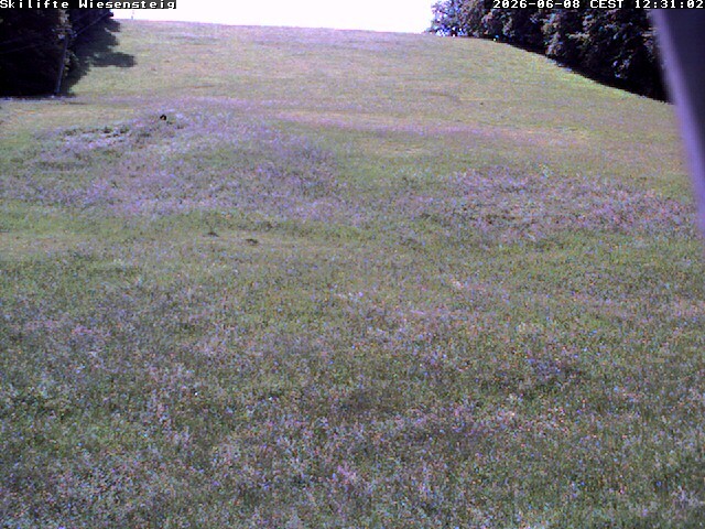 Archiv Foto Webcam Wiesensteig Bläsiberg