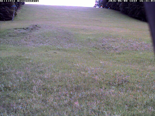 Archiv Foto Webcam Wiesensteig Bläsiberg