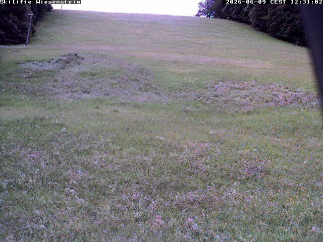 Archiv Foto Webcam Wiesensteig Bläsiberg