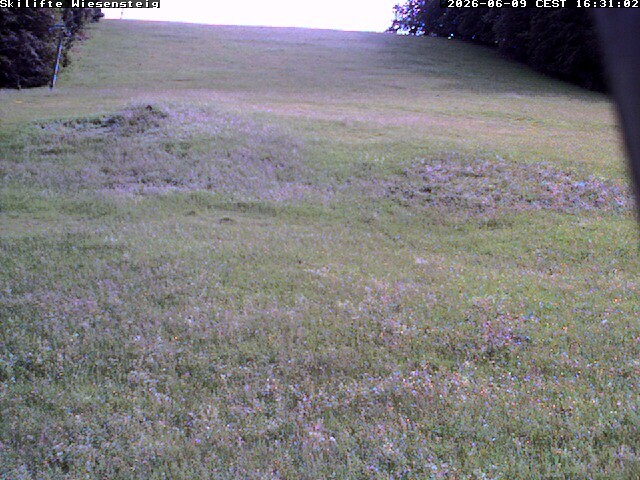 Archiv Foto Webcam Wiesensteig Bläsiberg