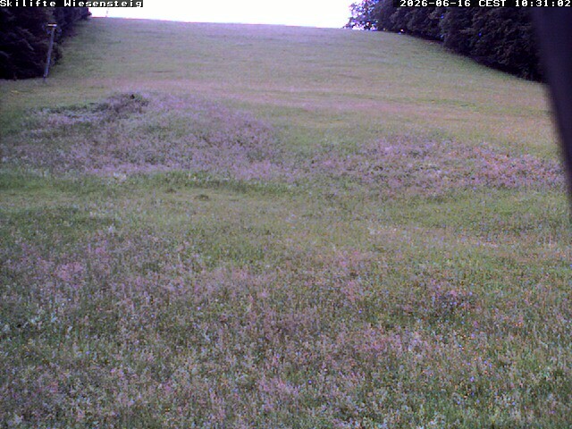 Archiv Foto Webcam Wiesensteig Bläsiberg