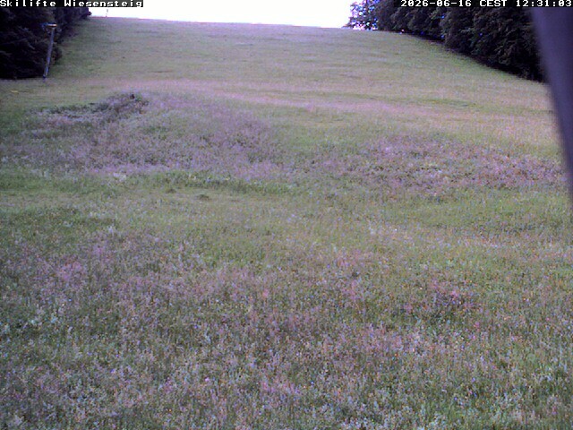 Archiv Foto Webcam Wiesensteig Bläsiberg