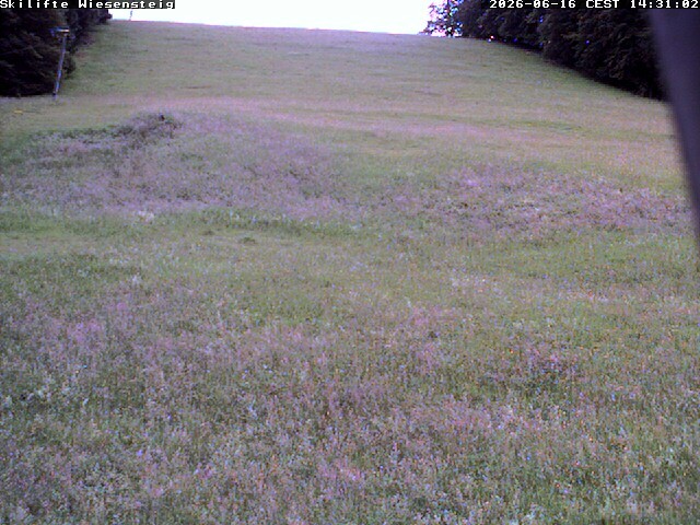 Archiv Foto Webcam Wiesensteig Bläsiberg