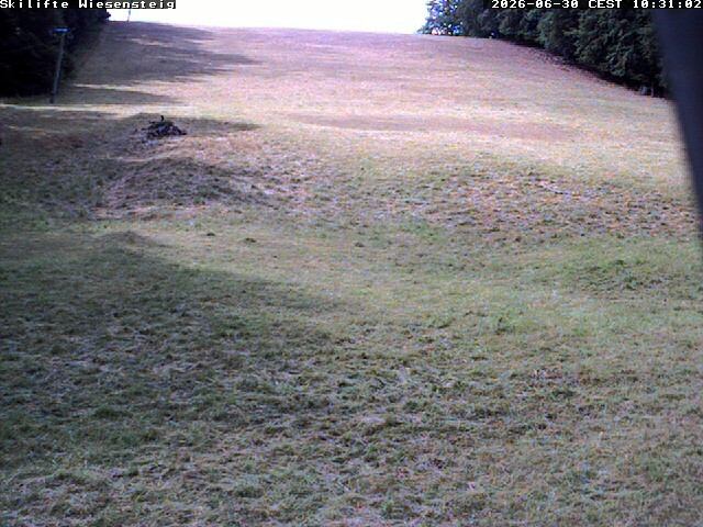 Archiv Foto Webcam Wiesensteig Bläsiberg