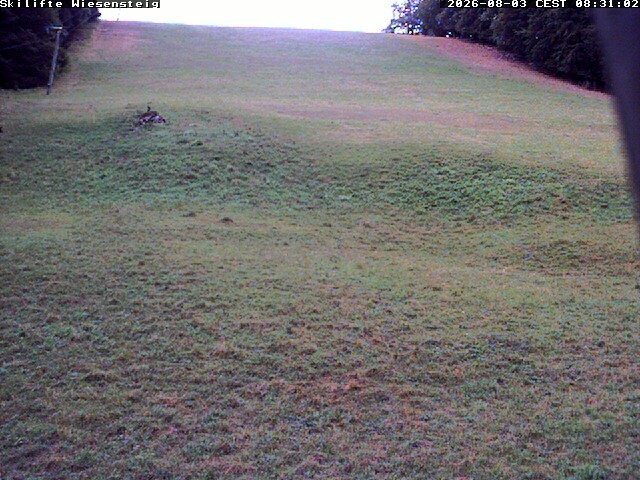 Archiv Foto Webcam Wiesensteig Bläsiberg
