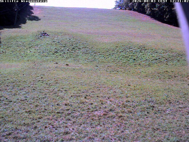 Archiv Foto Webcam Wiesensteig Bläsiberg