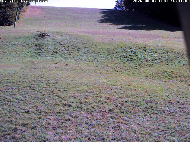 Archiv Foto Webcam Wiesensteig Bläsiberg
