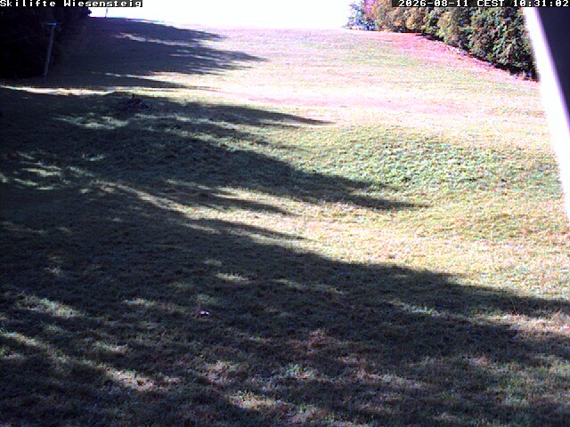 Archiv Foto Webcam Wiesensteig Bläsiberg