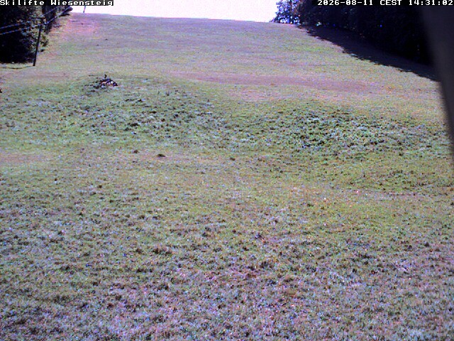 Archiv Foto Webcam Wiesensteig Bläsiberg