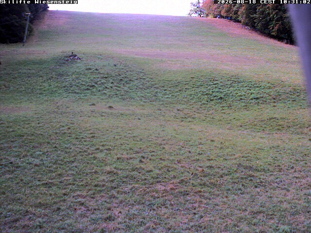 Archiv Foto Webcam Wiesensteig Bläsiberg