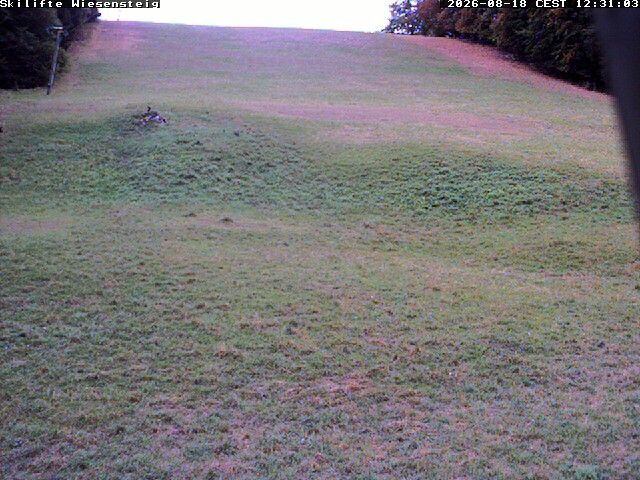 Archiv Foto Webcam Wiesensteig Bläsiberg