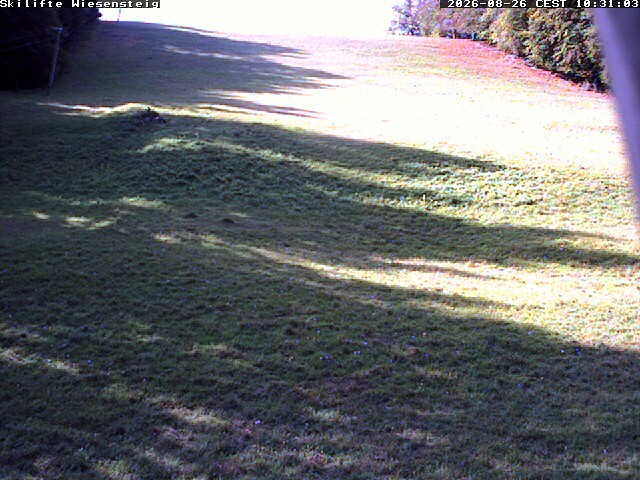 Archiv Foto Webcam Wiesensteig Bläsiberg