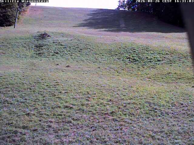 Archiv Foto Webcam Wiesensteig Bläsiberg