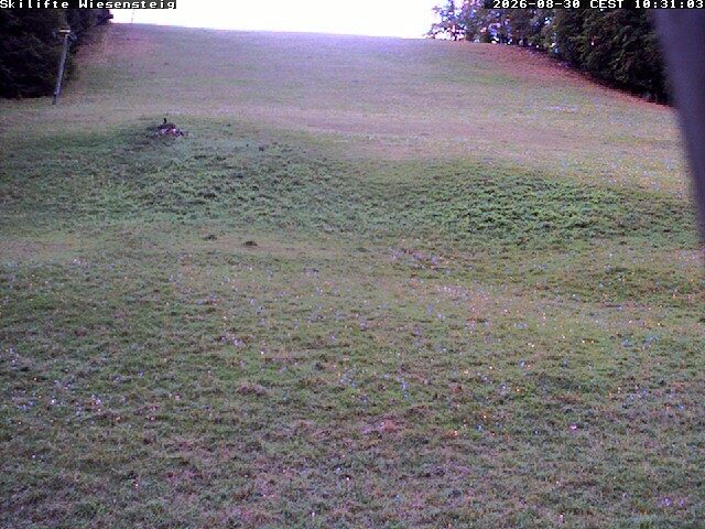 Archiv Foto Webcam Wiesensteig Bläsiberg