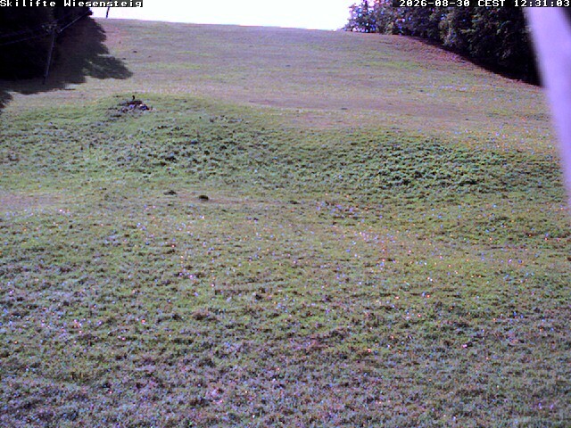 Archiv Foto Webcam Wiesensteig Bläsiberg