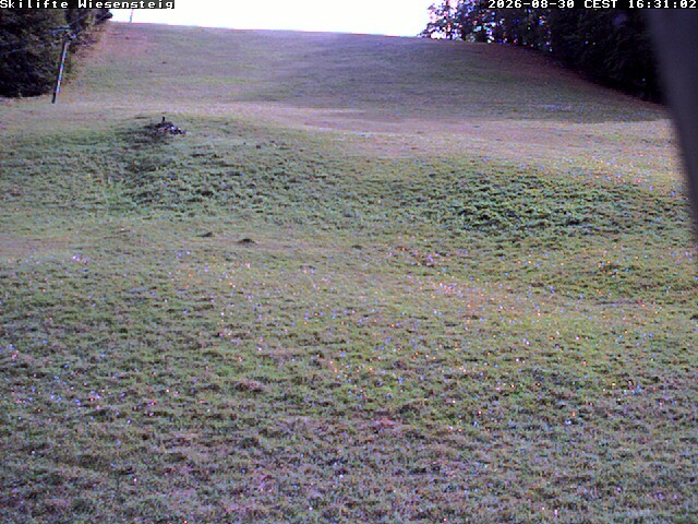 Archiv Foto Webcam Wiesensteig Bläsiberg