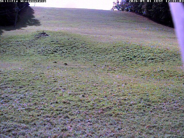 Archiv Foto Webcam Wiesensteig Bläsiberg