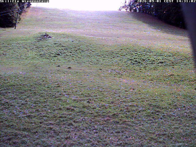 Archiv Foto Webcam Wiesensteig Bläsiberg