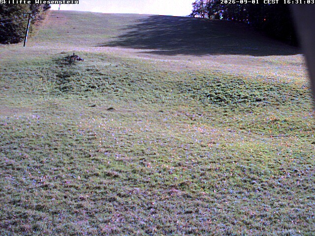 Archiv Foto Webcam Wiesensteig Bläsiberg