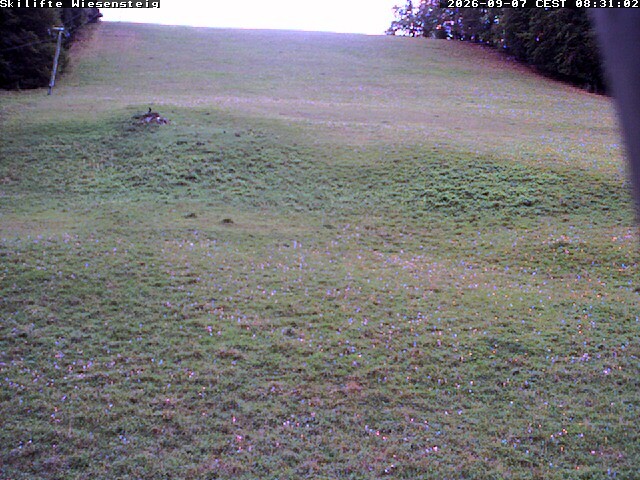 Archiv Foto Webcam Wiesensteig Bläsiberg