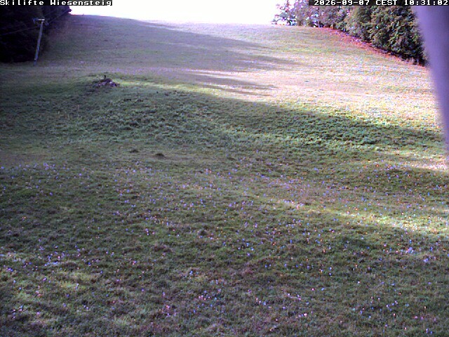 Archiv Foto Webcam Wiesensteig Bläsiberg