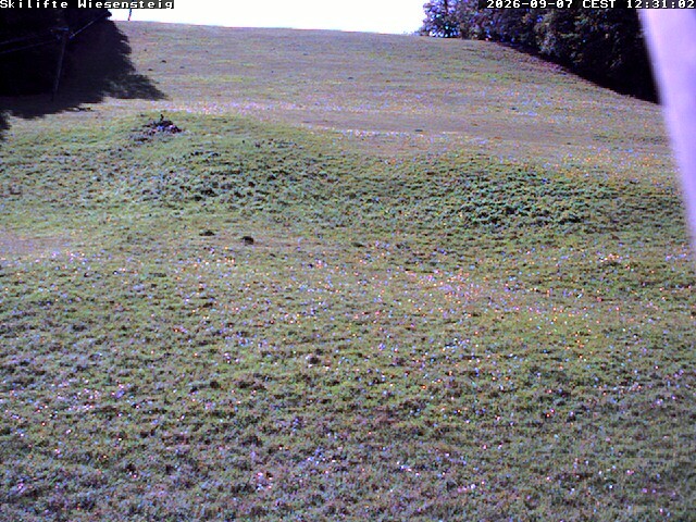 Archiv Foto Webcam Wiesensteig Bläsiberg