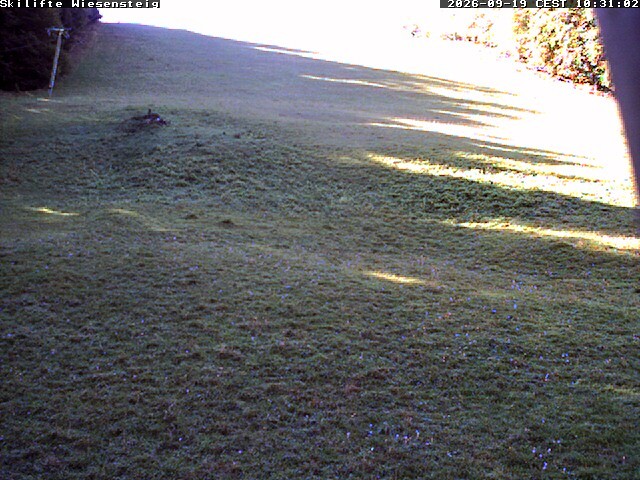 Archiv Foto Webcam Wiesensteig Bläsiberg