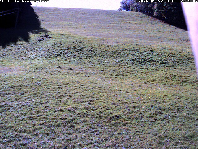 Archiv Foto Webcam Wiesensteig Bläsiberg