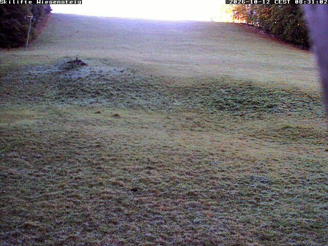 Archiv Foto Webcam Wiesensteig Bläsiberg
