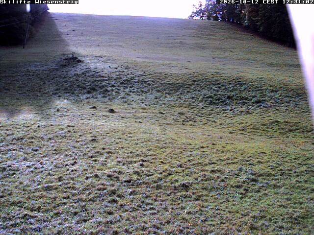 Archiv Foto Webcam Wiesensteig Bläsiberg