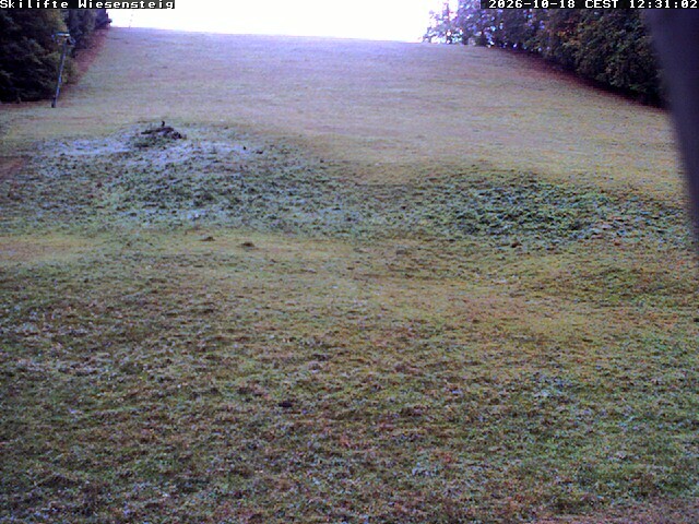 Archived image Webcam Bläsiberg