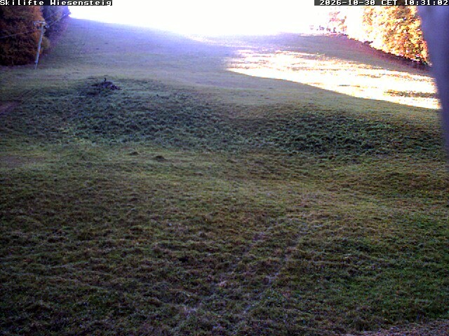 Archiv Foto Webcam Wiesensteig Bläsiberg