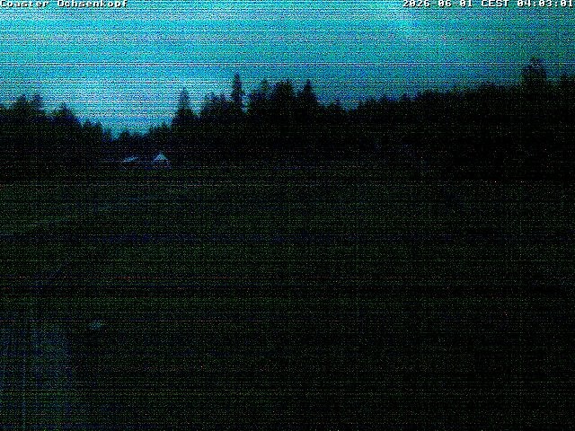Archiv Foto Webcam Coaster Ochsenkopf