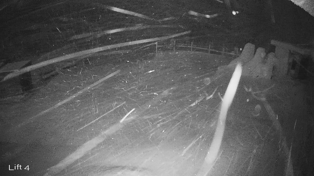 Archiv Foto Webcam Oberwiesenthal: Himmelsleiter