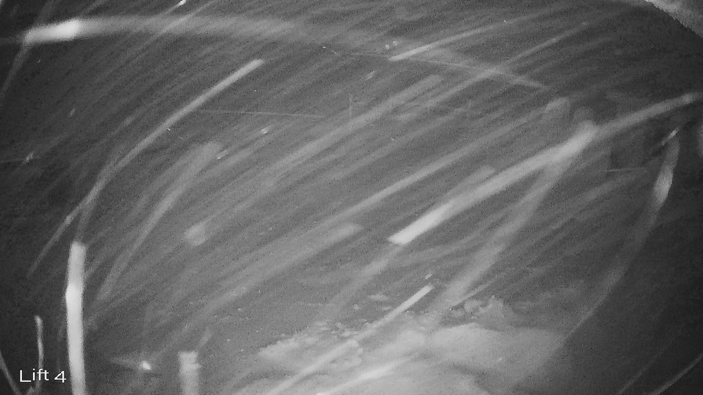 Archiv Foto Webcam Oberwiesenthal: Himmelsleiter