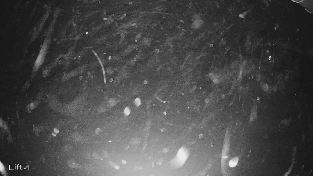 Archiv Foto Webcam Oberwiesenthal: Himmelsleiter