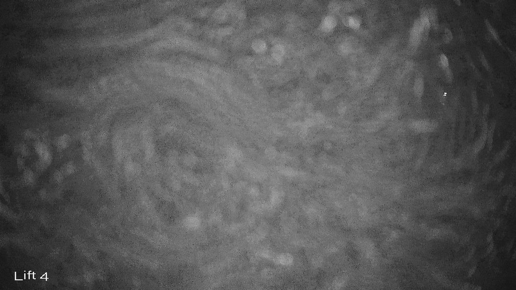 Archiv Foto Webcam Oberwiesenthal: Himmelsleiter