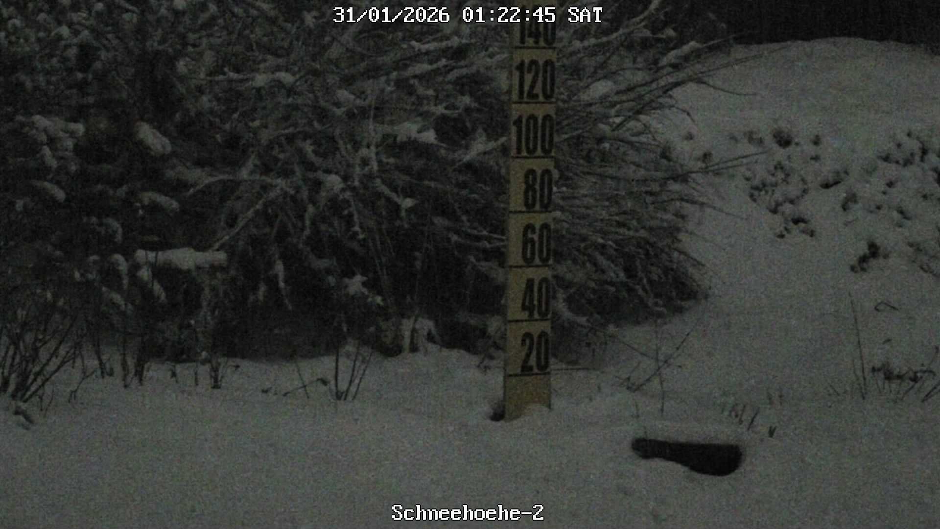 Archiv Foto Webcam Kurort Bärenfels - Schneemesser