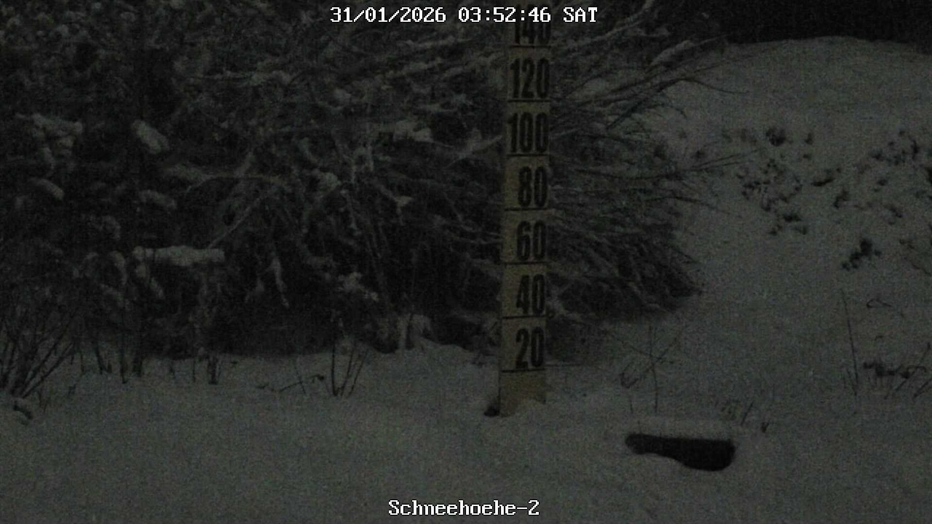 Archiv Foto Webcam Kurort Bärenfels - Schneemesser