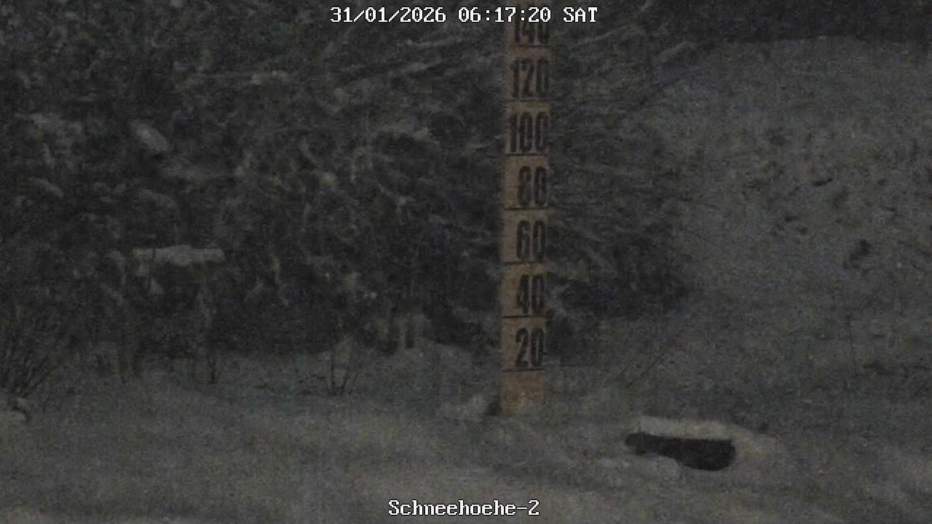 Archiv Foto Webcam Kurort Bärenfels - Schneemesser