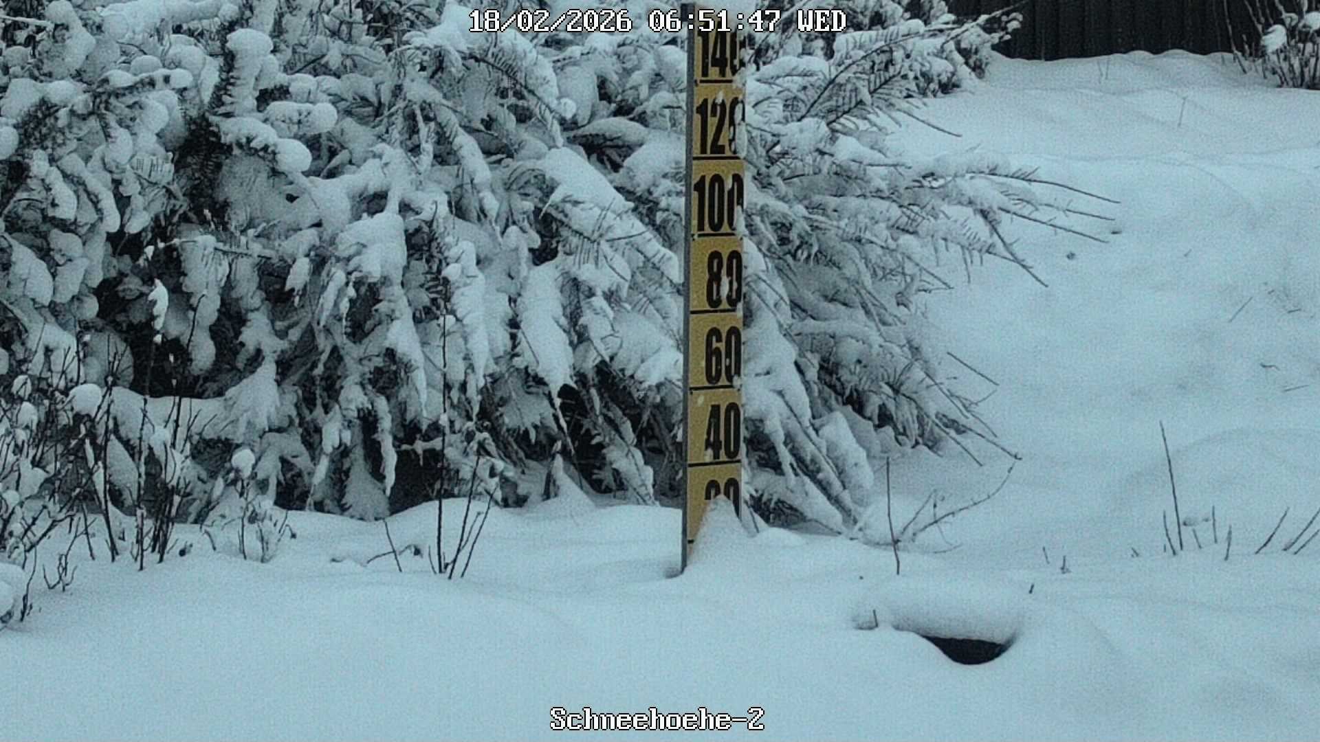 Archiv Foto Webcam Kurort Bärenfels - Schneemesser