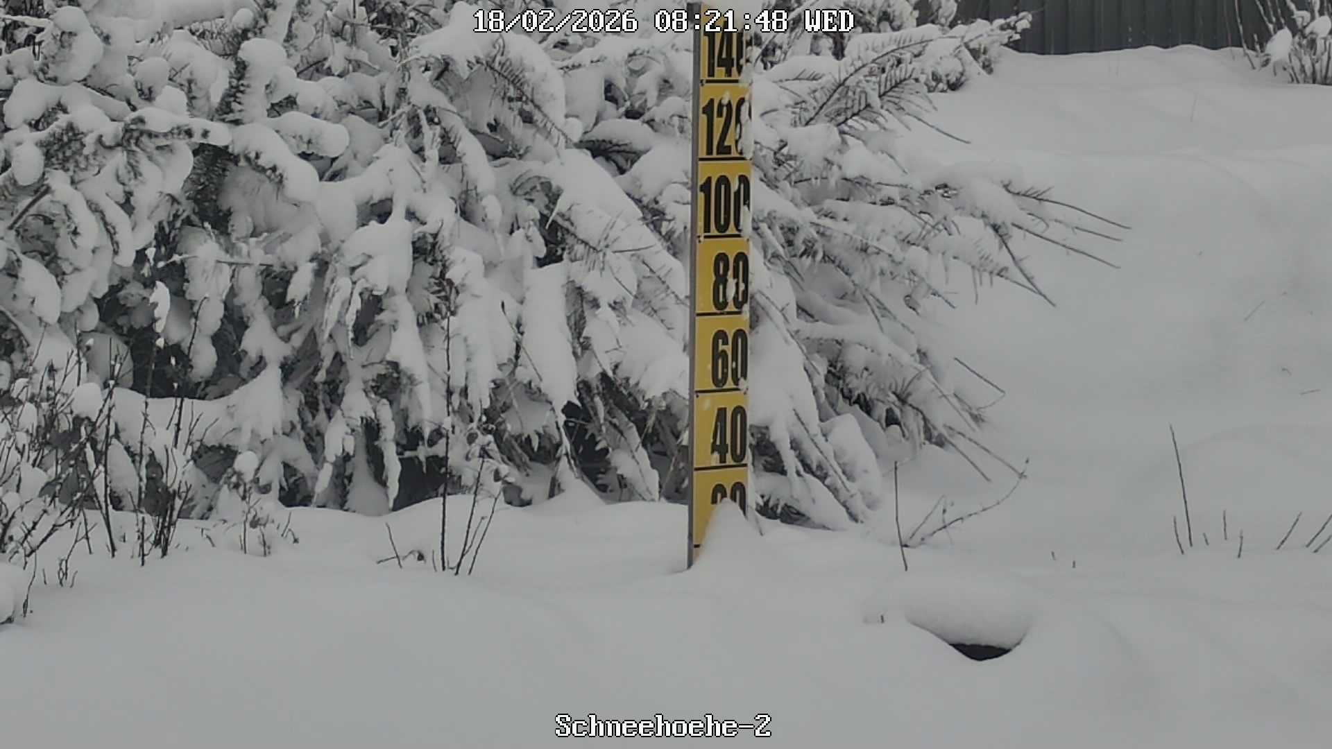 Archiv Foto Webcam Kurort Bärenfels - Schneemesser