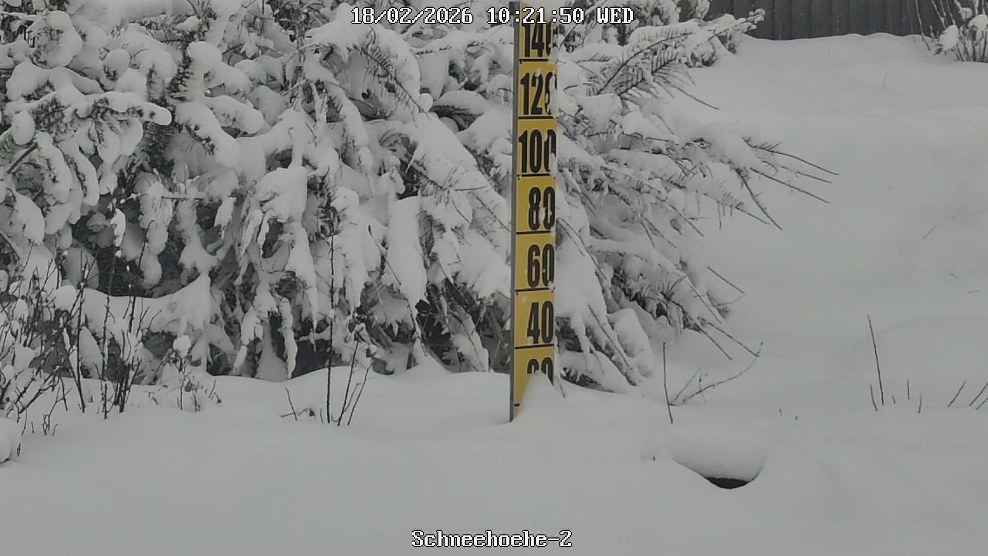 Archiv Foto Webcam Kurort Bärenfels - Schneemesser