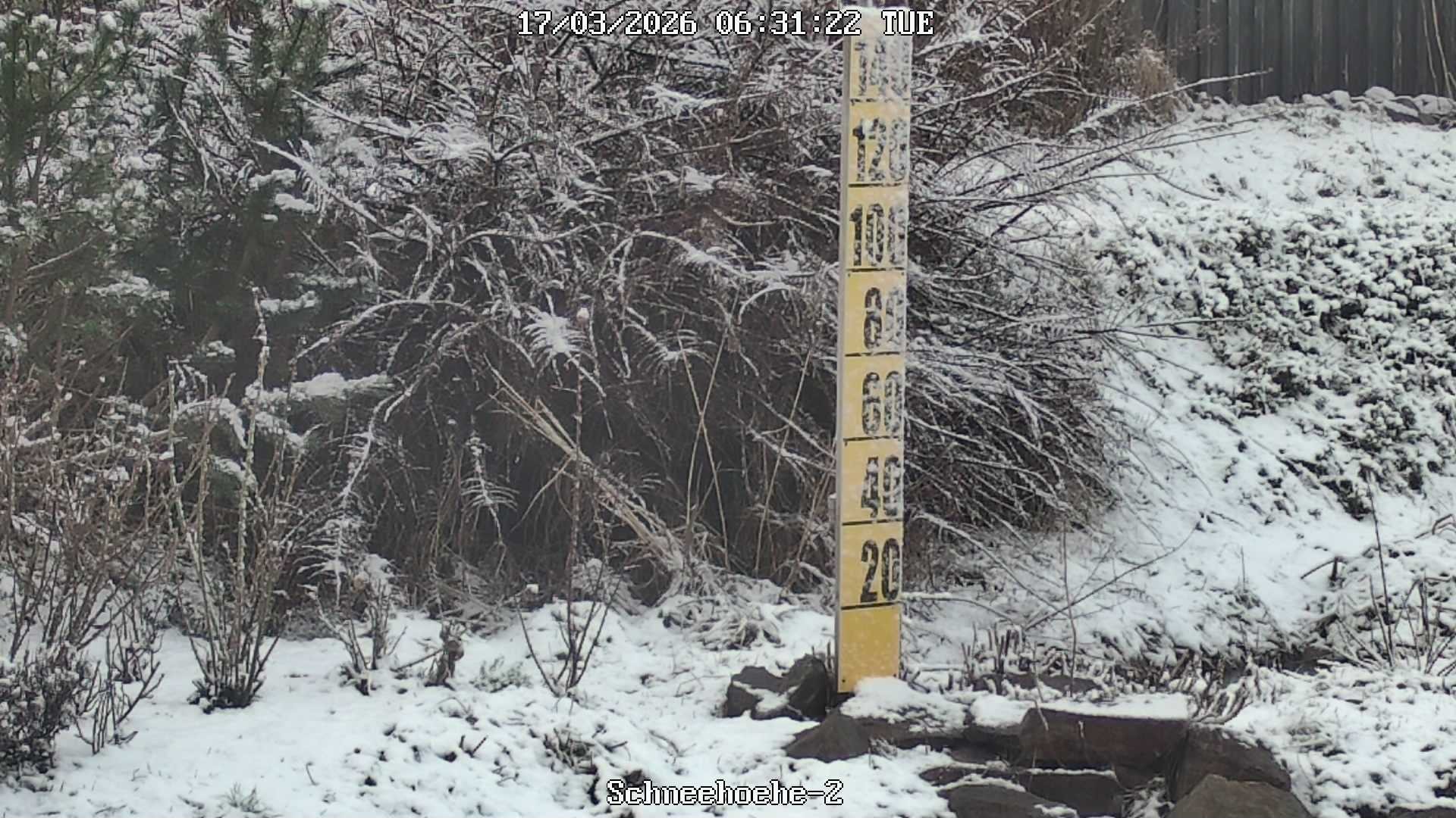 Archiv Foto Webcam Kurort Bärenfels - Schneemesser