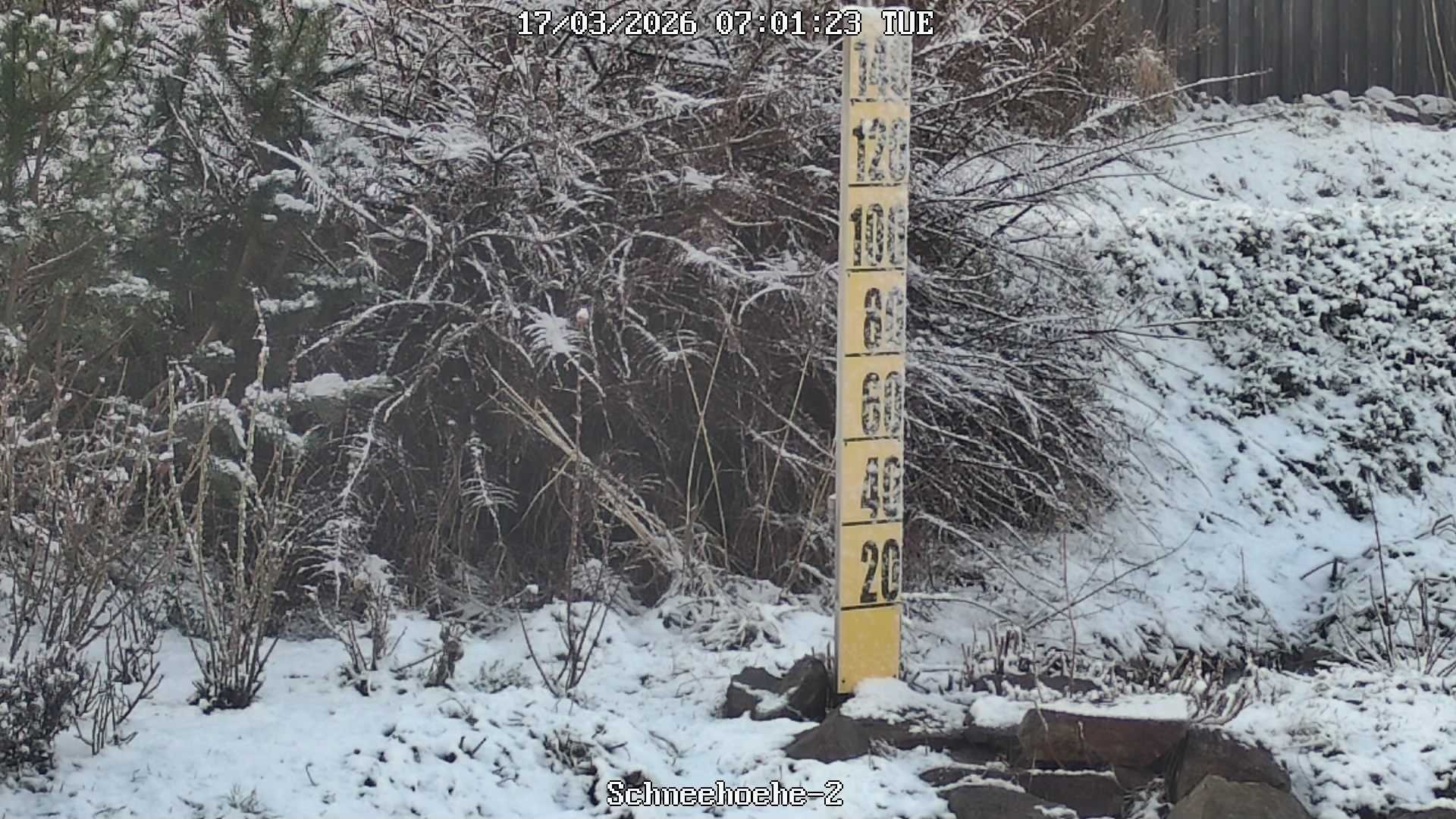 Archiv Foto Webcam Kurort Bärenfels - Schneemesser