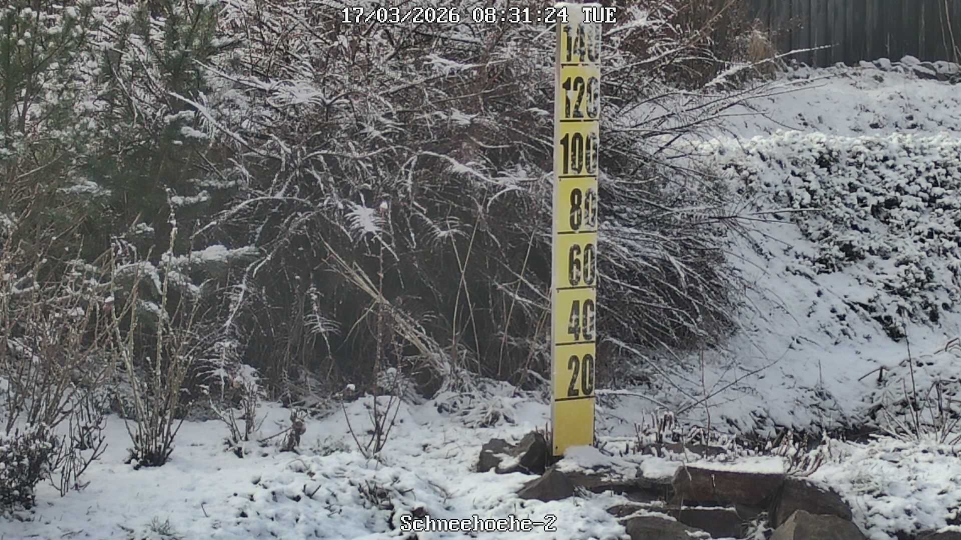 Archiv Foto Webcam Kurort Bärenfels - Schneemesser