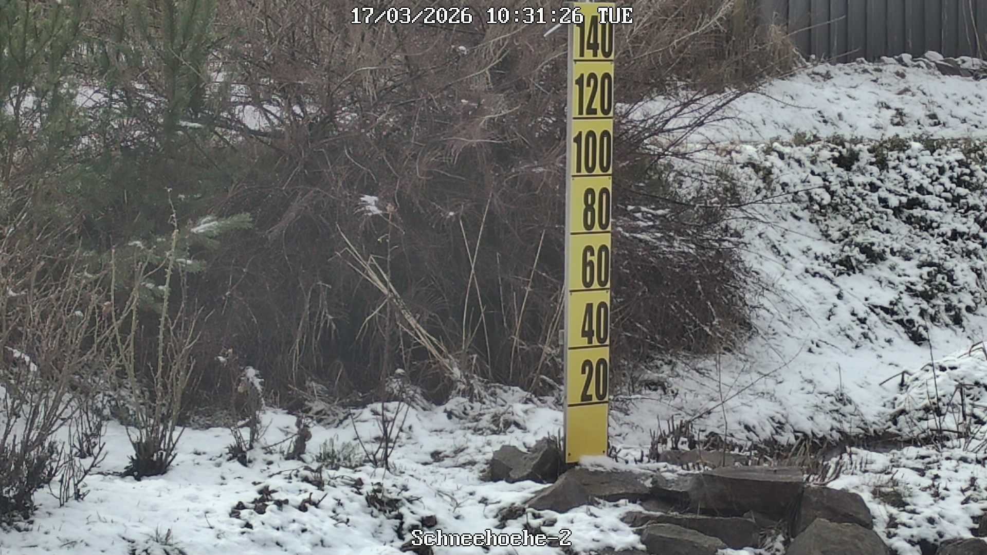 Archiv Foto Webcam Kurort Bärenfels - Schneemesser