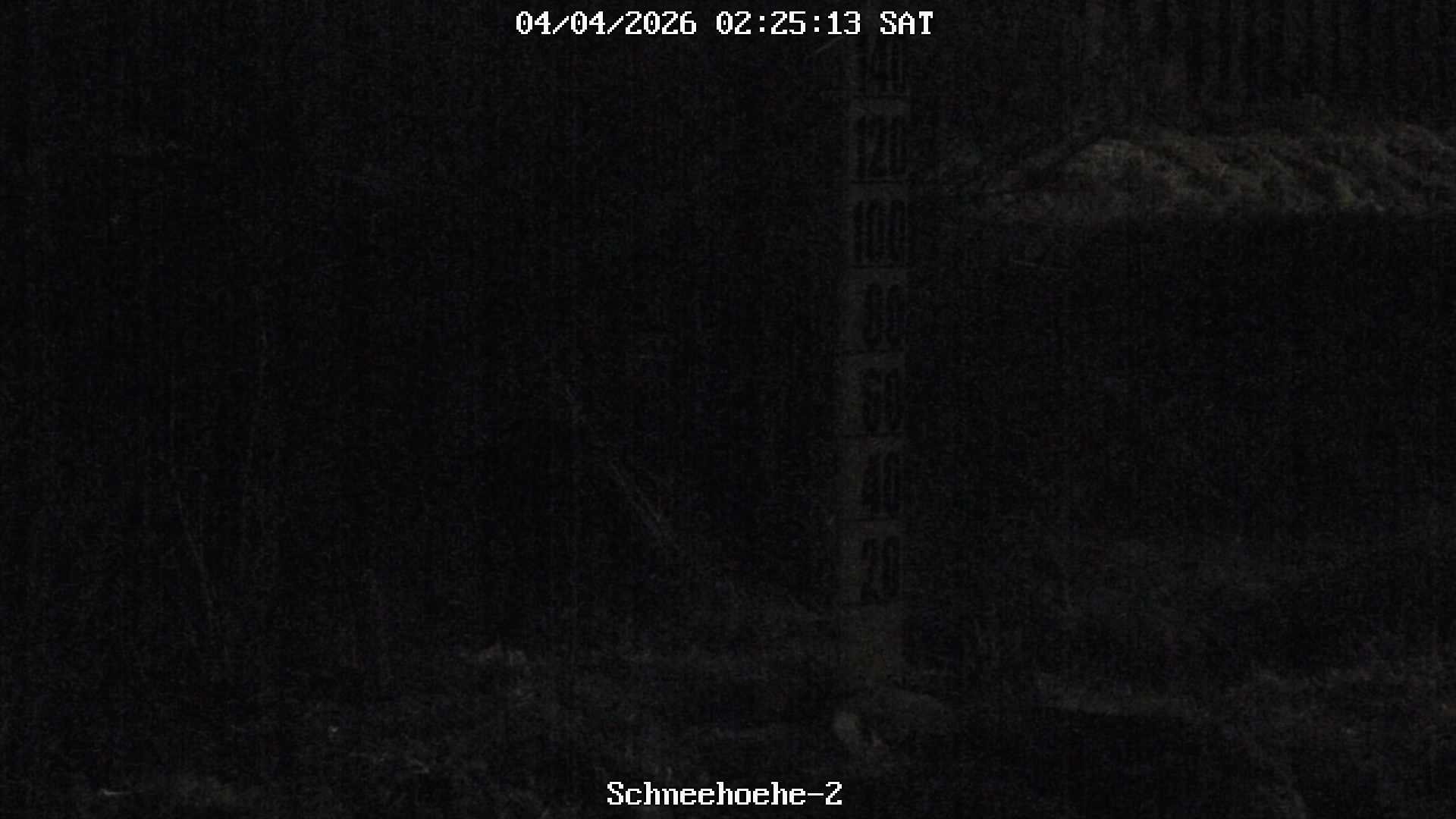 Archived image Webcam Snowcam in Bärenfels