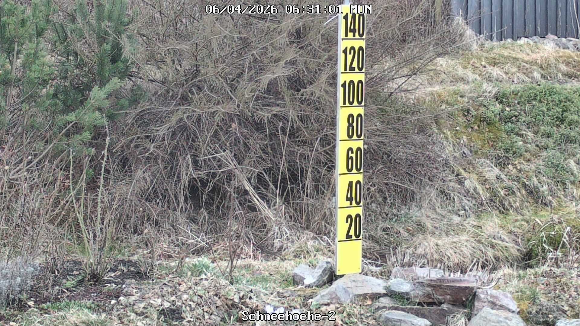 Archived image Webcam Snowcam in Bärenfels